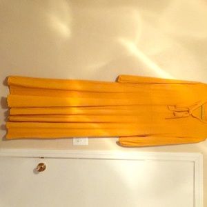 NEW Yellowish Gold Dress